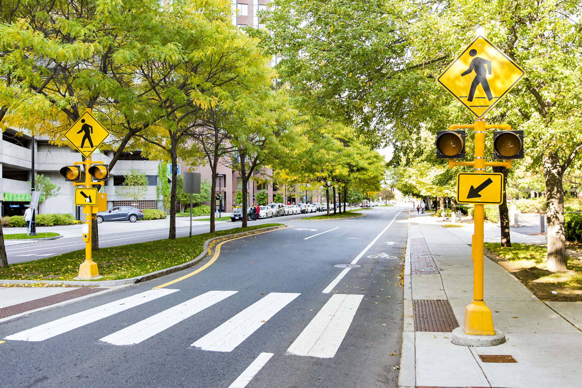 street crosswalk